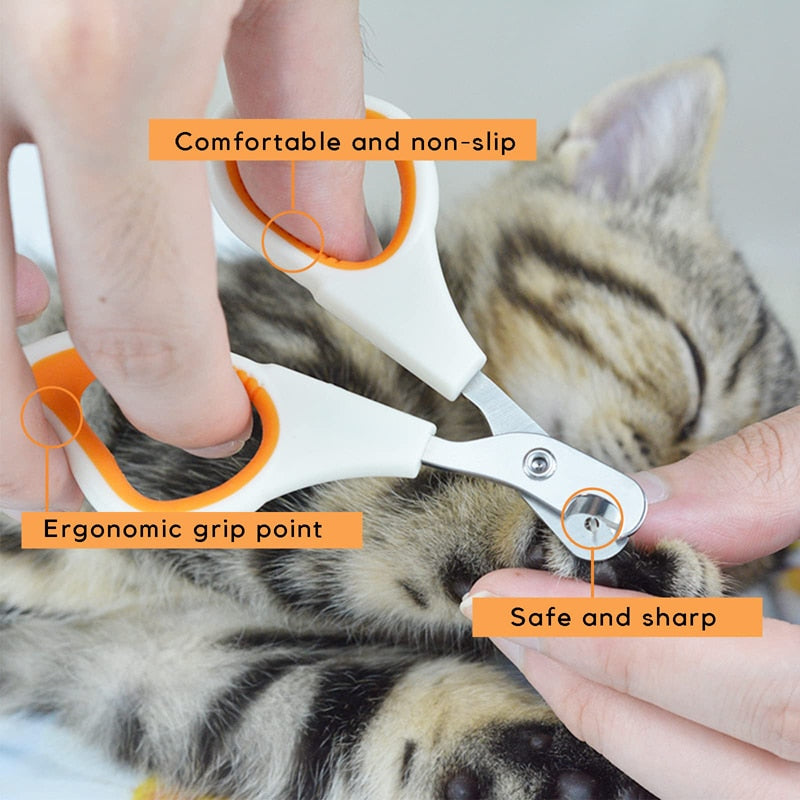 Safety Guard Cat Scissors