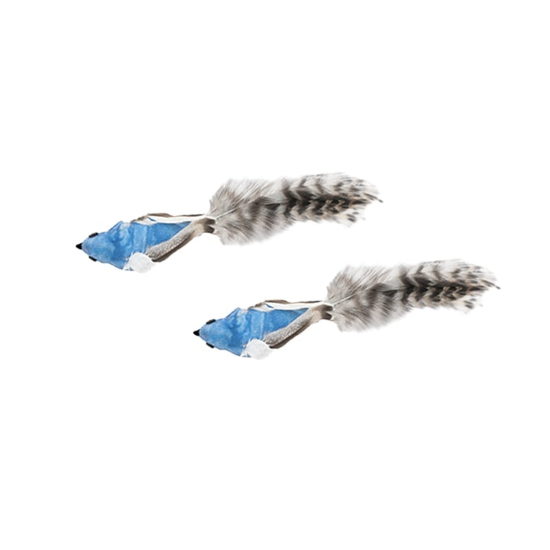 Feather Frenzy