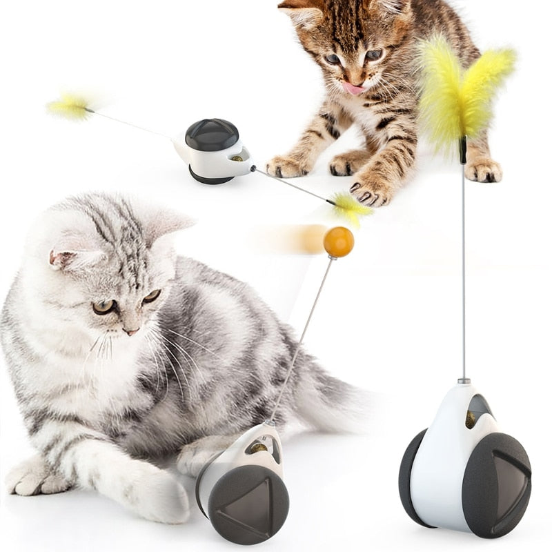 Interactive Tumbler Toy with Catnip