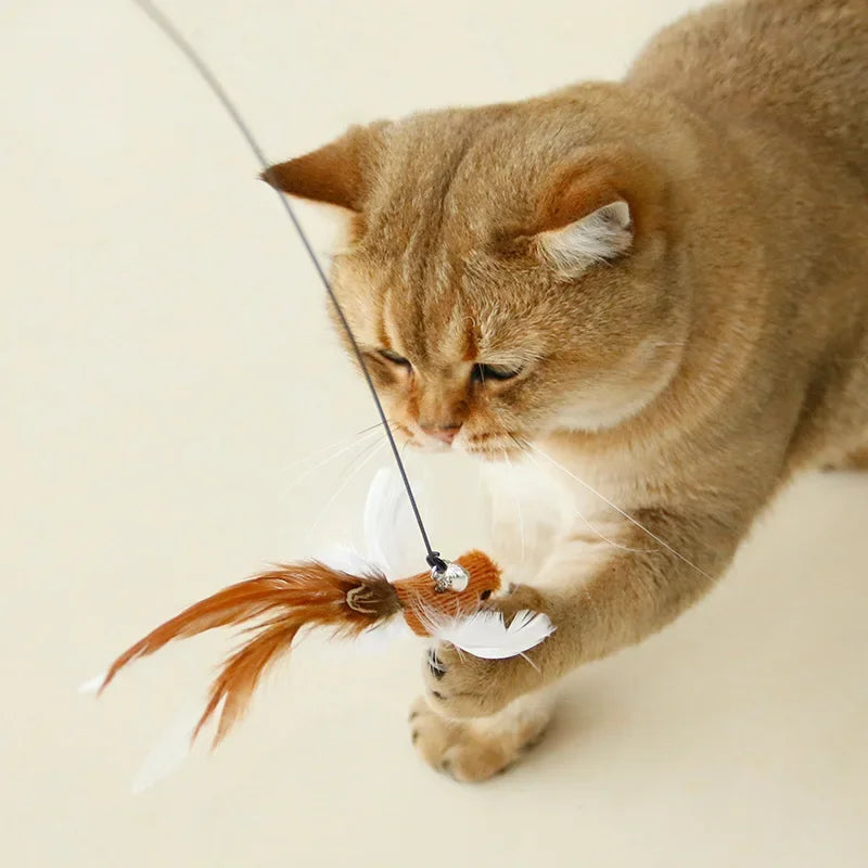 Feather Frenzy Cat Playing Stick More Variations.