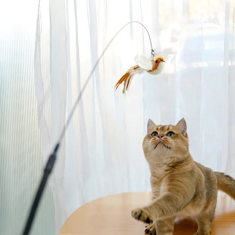 Feather Frenzy Cat Playing Stick More Variations.