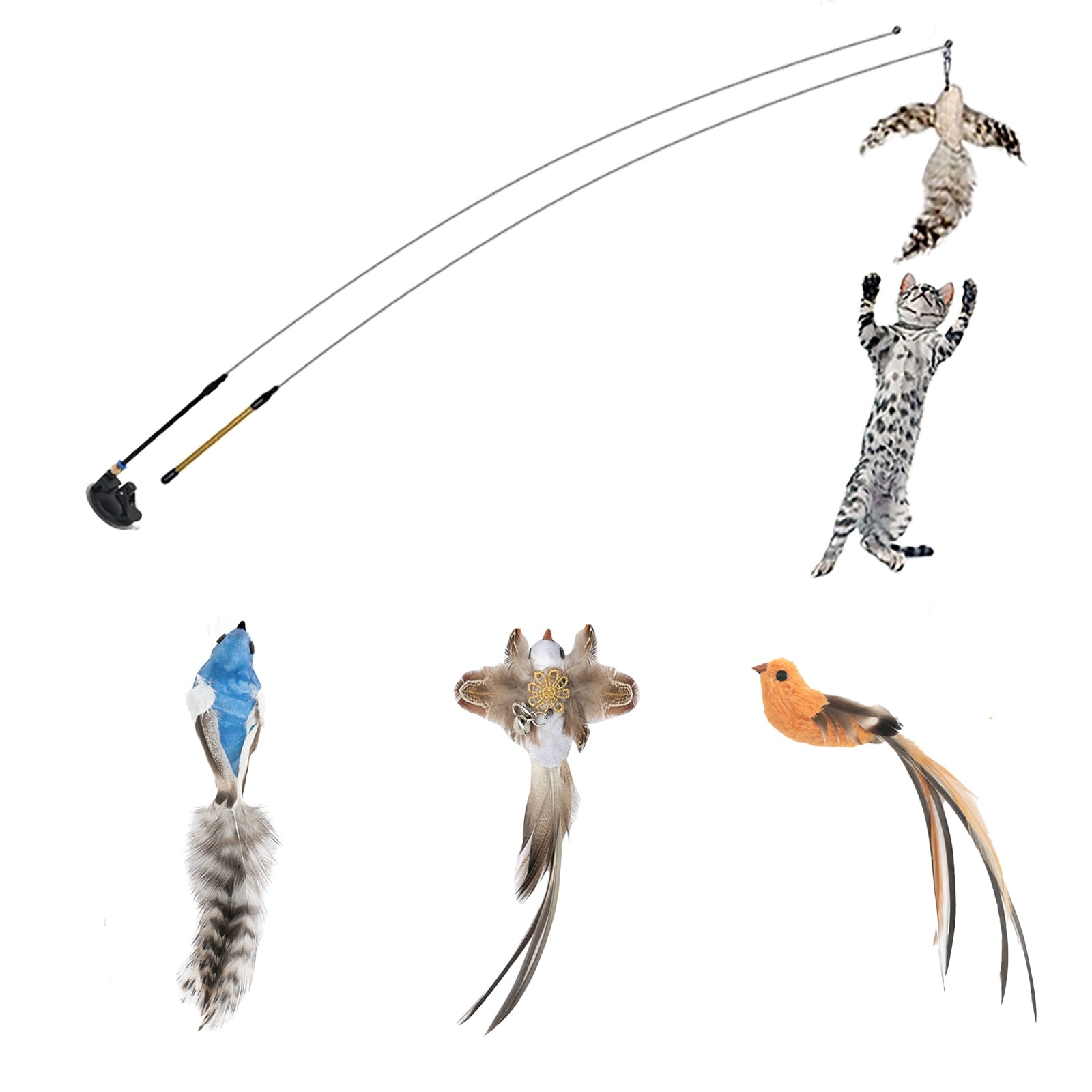Feather Frenzy
