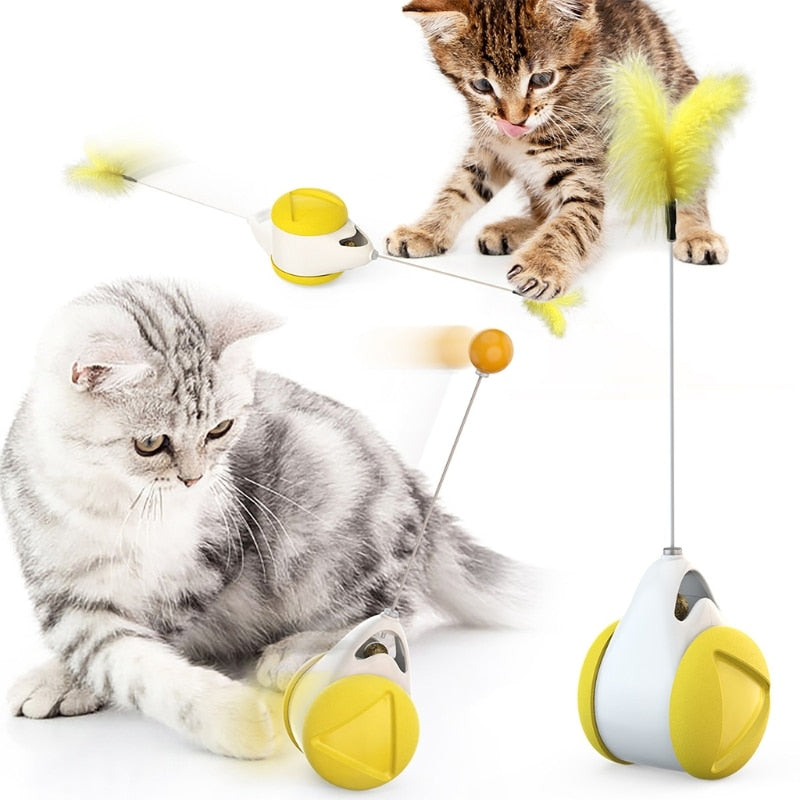 Interactive Tumbler Toy with Catnip