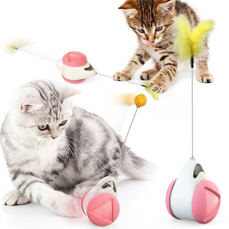 Interactive Tumbler Toy with Catnip