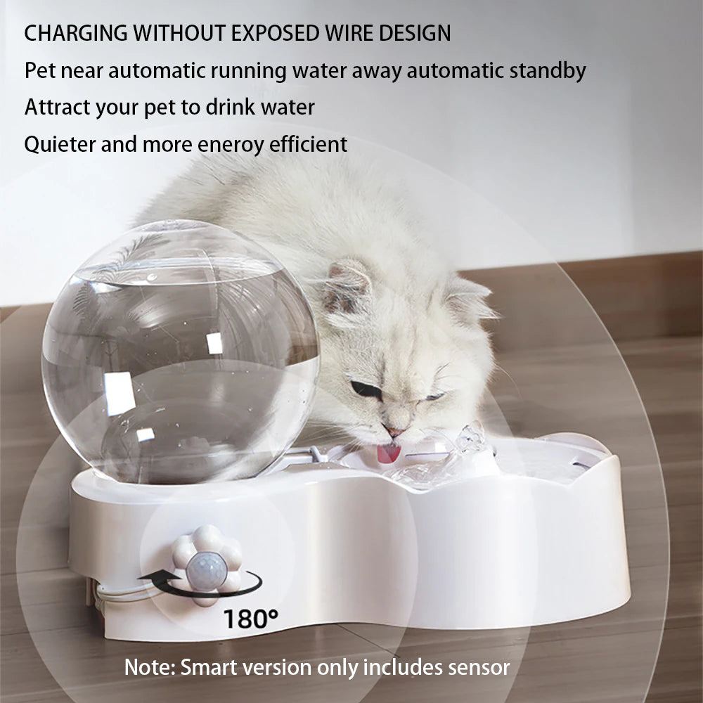 2.3 L Automatic Globe Water Fountain